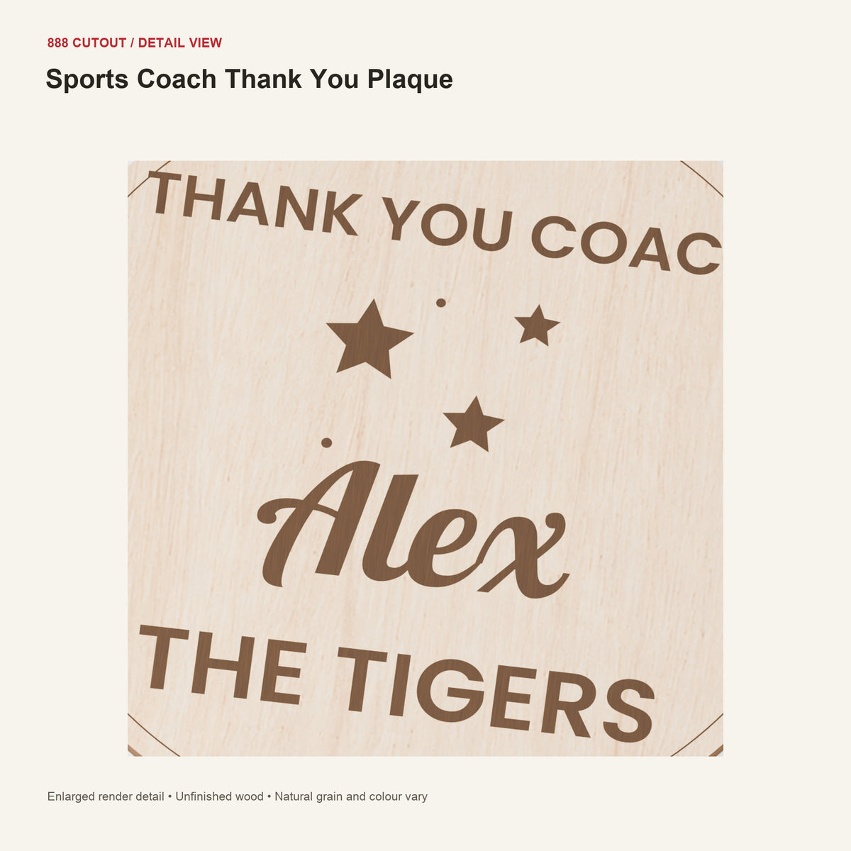 888 detail — Sports Coach Thank You Plaque — enlarged product visualisation